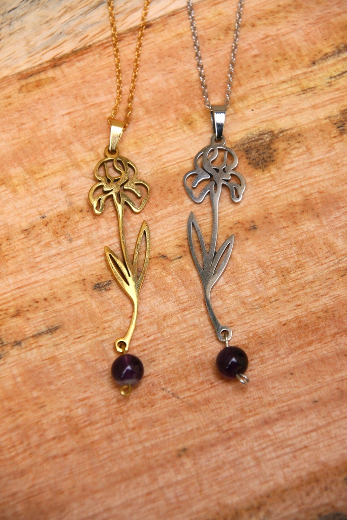 Collier mi long- Améthyste et Iris- Février (Doré)